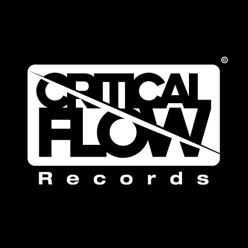 CRITICAL FLOW RECORDS