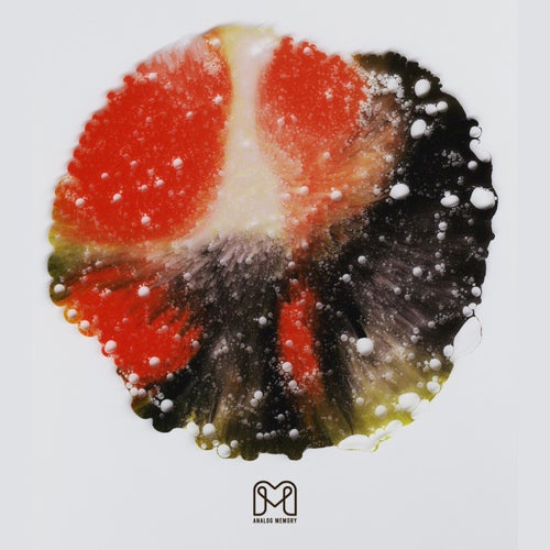 Cover art for Metamorphosis II