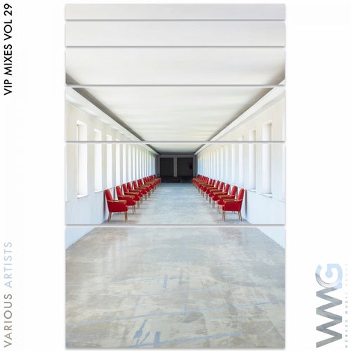 VIP Mixes, Vol. 29