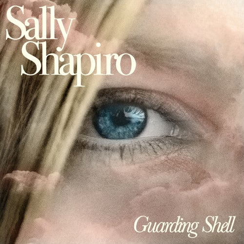 Guarding Shell
