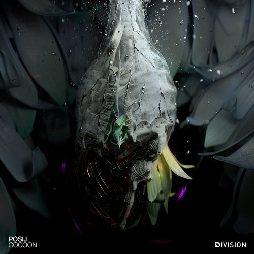 Cover art for Cocoon