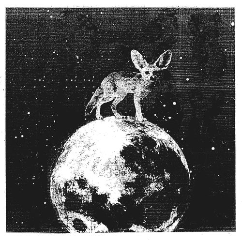 IS THIS REAL