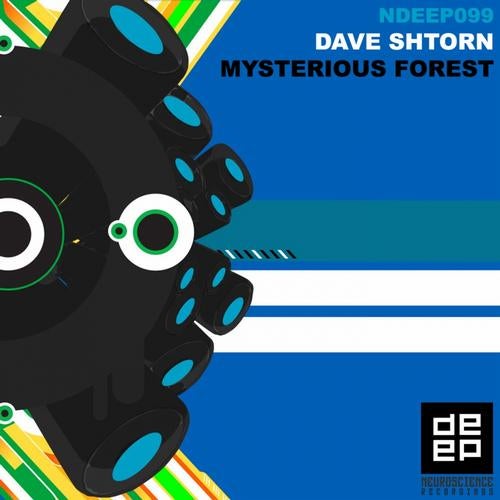 Mysterious Forest