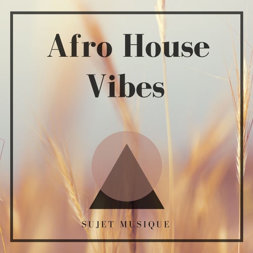 Cover art for Afro House Vibes