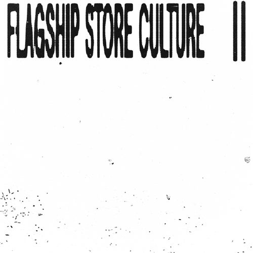 Flagship Store Culture II
