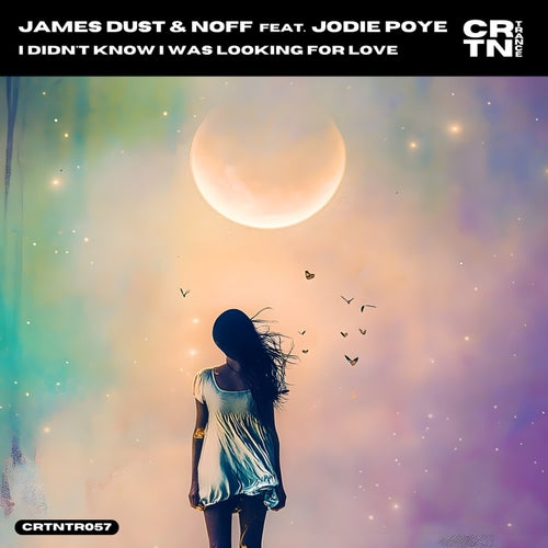 I Didn't Know I Was Looking for Love (feat. Jodie Poye)