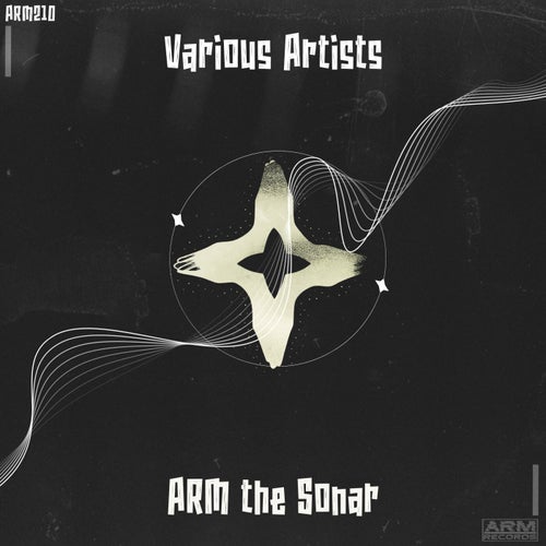ARM the Sonar