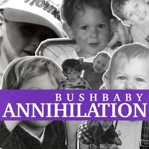Annihilation