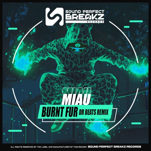 Burnt fur (Dr Beats Remix)