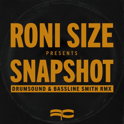 Snapshot (Drumsound & Bassline Smith Remix)