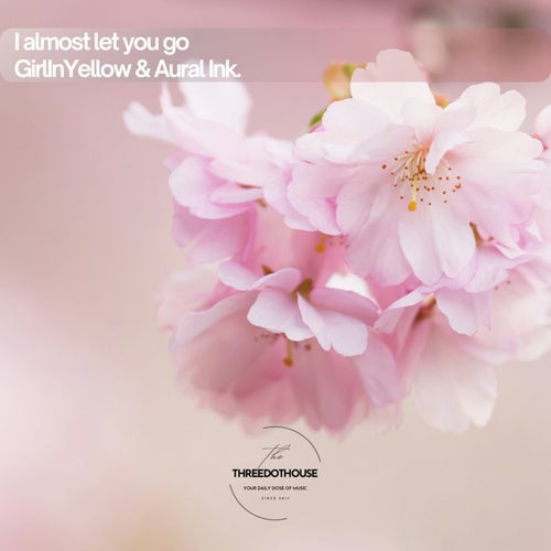 I Almost Let You Go