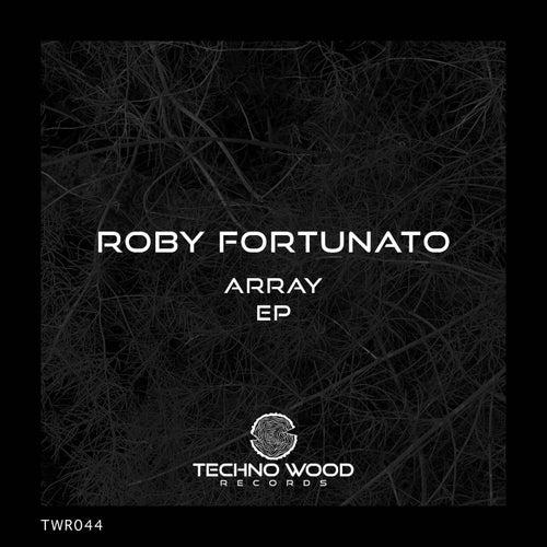 Cover art for Array EP