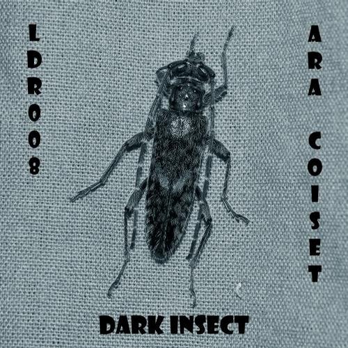 Dark Insect