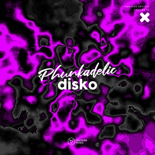 Phunkadelic Disko Vol. 13