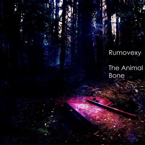 Cover art for The Animal Bone