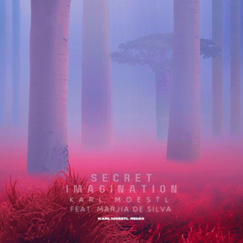 Secret Imagination (Remix)