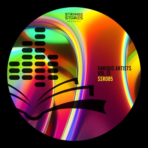 Various Artists Vol.13