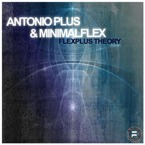 FlexPlus Theory