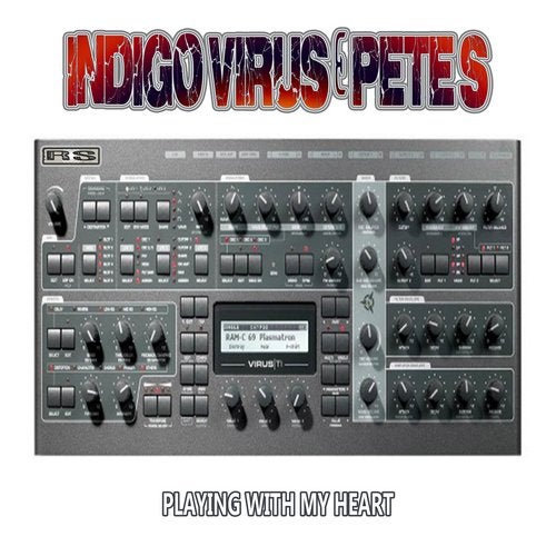 Cover art for Playing With My Heart