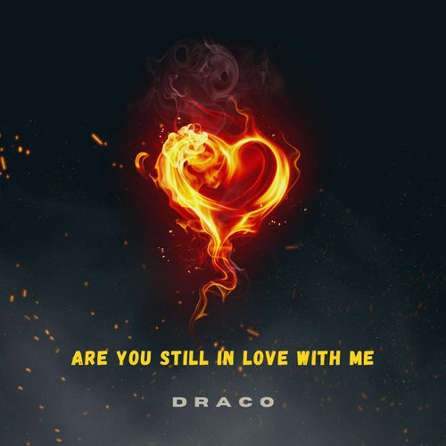 ARE YOU STILL IN LOVE WITH ME