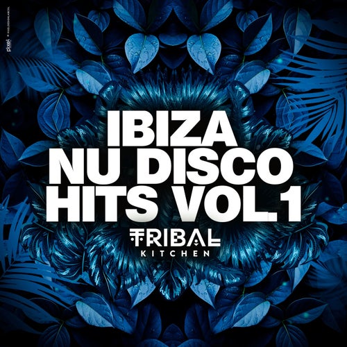 Ibiza Nu Disco Hits Vol. 1 (Tribal Kitchen) TKC003