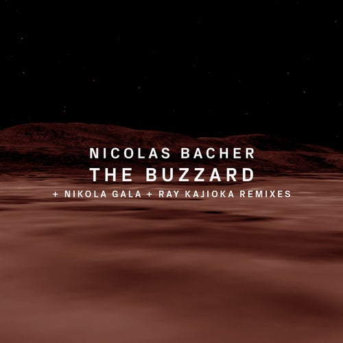 The Buzzard