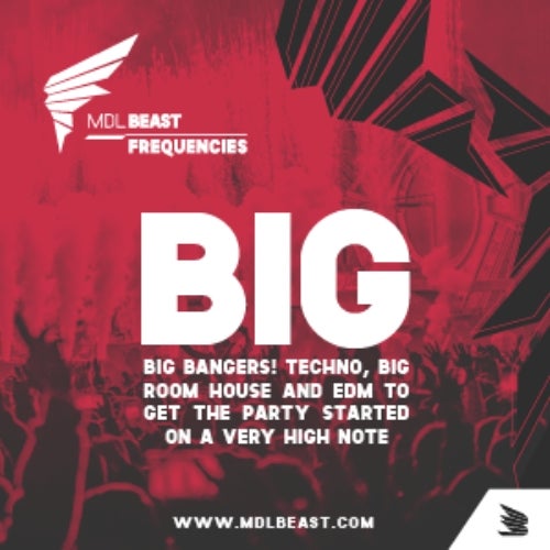 FREQ SELECTS - BIG CLASSICS