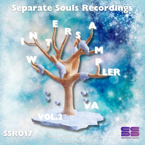 Separate Souls Recordings Winter V.A Sampler Vol 2 [Separate Souls Recordings]