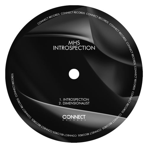 Introspection