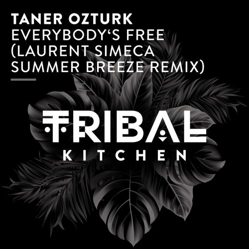 Taner Ozturk-Everybody's Free (Laurent Simeca Summer Breeze Extended Remix).mp3