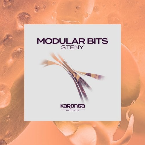 Cover art for Modular Bits