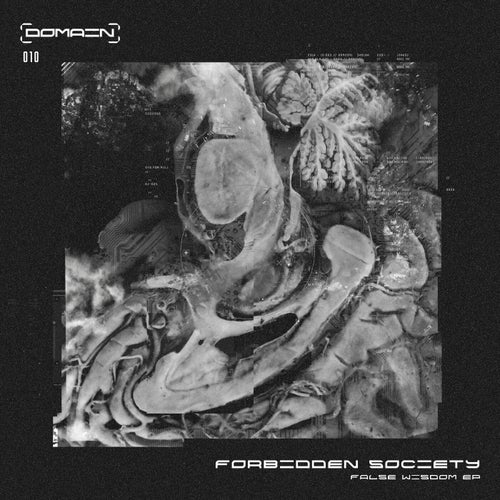 False Wisdom EP