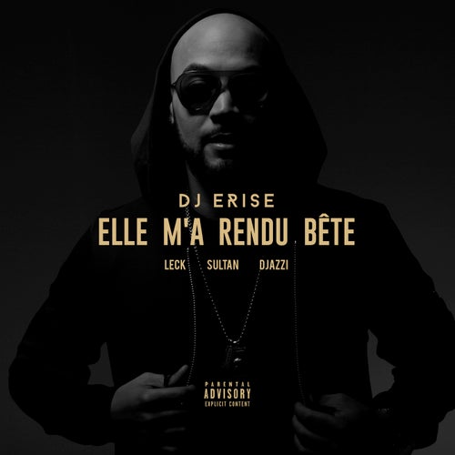 Elle m'a rendu bête