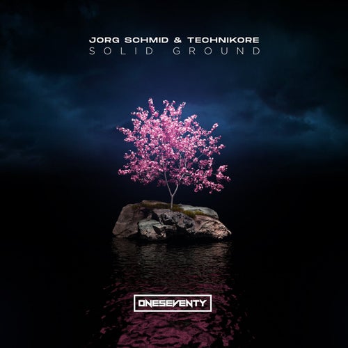 Cover art for Solid Ground