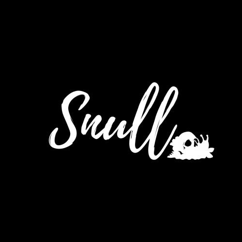 Snull Records