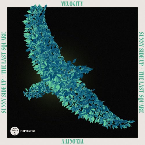 Sunny Side Up / The Last Square
