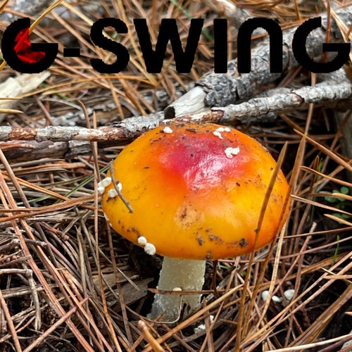 Cover art for Speakeasy