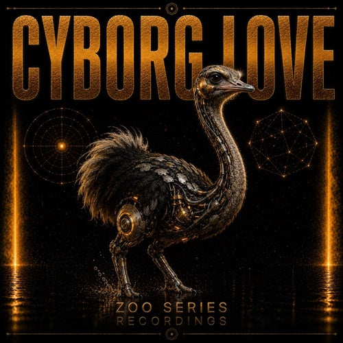 Cyborg Love
