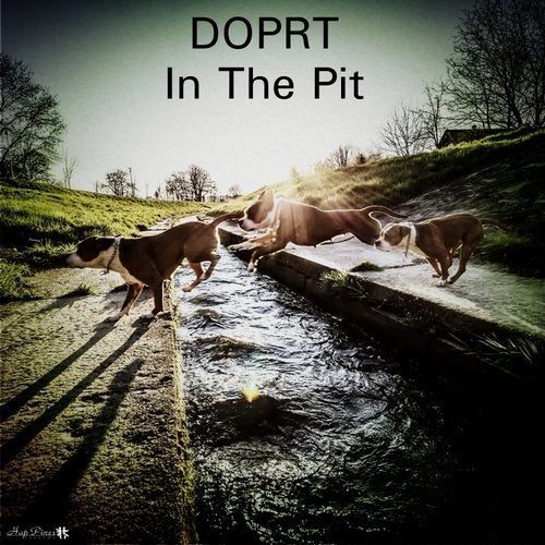 Cover art for In The Pit