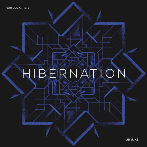 Hibernation