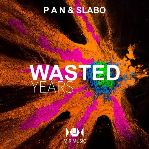 Wasted Years