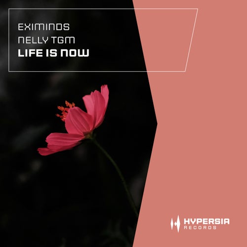  Eximinds And Nelly Tgm - Life Is Now (2026) 