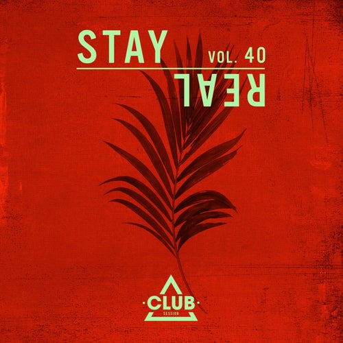 Stay Real, Vol. 40
