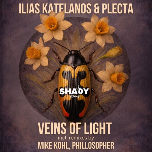 Veins of Light