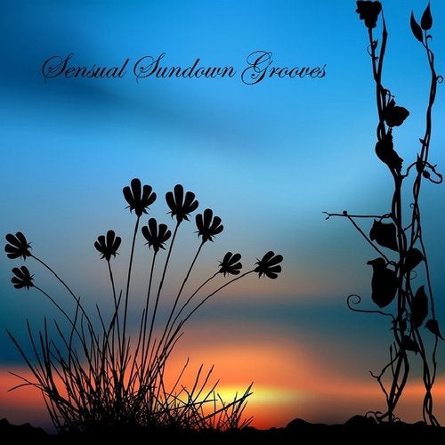 Sensual Sundown Grooves