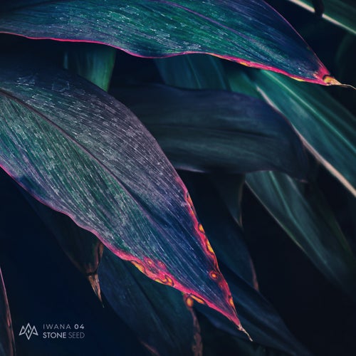 IWANA 04