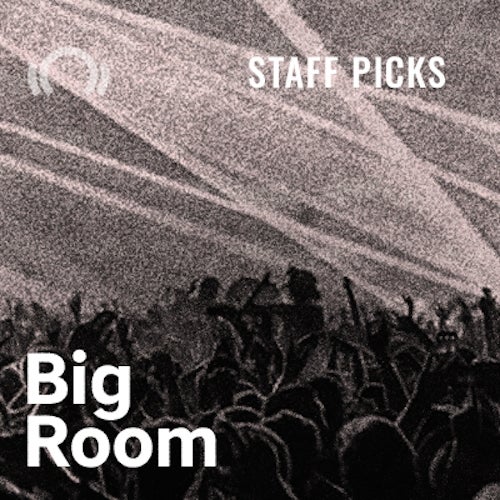 Cratedigger Staff Picks - Big Room