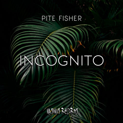 Incognito