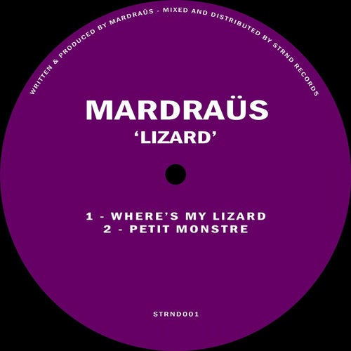 Lizard
