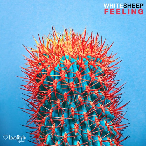 Feeling